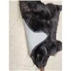 Image 11 : Big Black Bear Rug Taxidermy