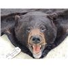 Image 5 : Big Black Bear Rug Taxidermy