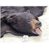 Image 6 : Big Black Bear Rug Taxidermy
