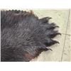 Image 8 : Big Black Bear Rug Taxidermy