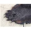 Image 9 : Big Black Bear Rug Taxidermy