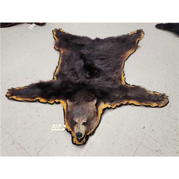 Black Bear Rug Taxidermy