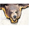 Image 7 : Black Bear Rug Taxidermy