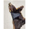 Image 8 : Black Bear Rug Taxidermy