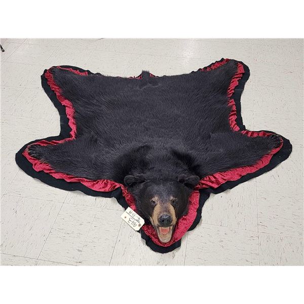 Black Bear Rug Taxidermy