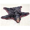Image 1 : Black Bear Rug Taxidermy