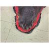 Image 3 : Black Bear Rug Taxidermy