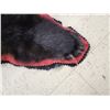 Image 4 : Black Bear Rug Taxidermy