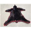 Image 5 : Black Bear Rug Taxidermy