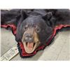 Image 6 : Black Bear Rug Taxidermy