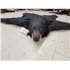 Image 4 : Black Bear Rug Taxidermy