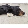 Image 6 : Black Bear Rug Taxidermy