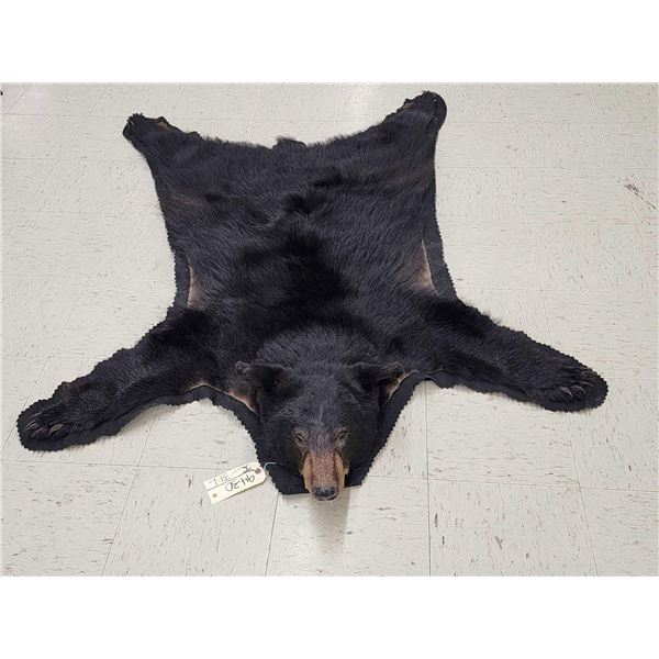 Black Bear Rug Taxidermy