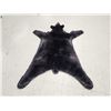 Image 3 : Black Bear Rug Taxidermy
