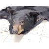 Image 5 : Black Bear Rug Taxidermy
