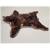 Image 2 : Big Chocolate Phase Black Bear Rug Taxidermy