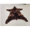 Image 3 : Big Chocolate Phase Black Bear Rug Taxidermy