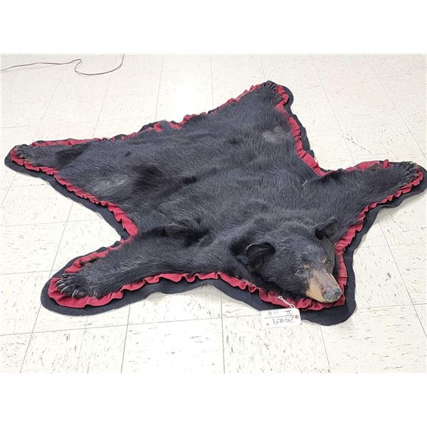 Big Black Bear Rug Taxidermy