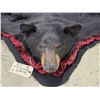 Image 5 : Big Black Bear Rug Taxidermy