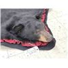 Image 6 : Big Black Bear Rug Taxidermy