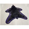 Image 4 : Black Bear Rug Taxidermy