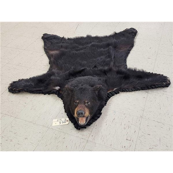 Black Bear Rug Taxidermy