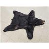 Image 2 : Black Bear Rug Taxidermy