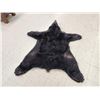 Image 3 : Black Bear Rug Taxidermy