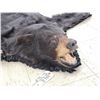 Image 6 : Black Bear Rug Taxidermy
