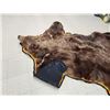 Image 11 : Alaskan Grizzly Bear Rug Taxidermy