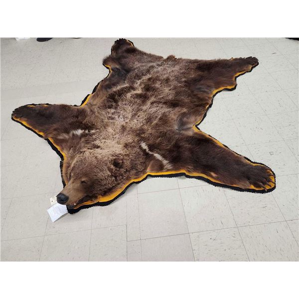 Alaskan Grizzly Bear Rug Taxidermy