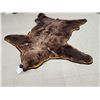 Image 1 : Alaskan Grizzly Bear Rug Taxidermy