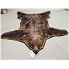 Image 2 : Alaskan Grizzly Bear Rug Taxidermy