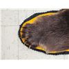 Image 9 : Alaskan Grizzly Bear Rug Taxidermy