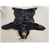 Image 1 : Black Bear Rug Taxidermy