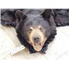 Image 2 : Black Bear Rug Taxidermy
