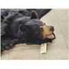 Image 3 : Black Bear Rug Taxidermy