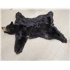 Image 5 : Black Bear Rug Taxidermy