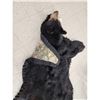 Image 6 : Black Bear Rug Taxidermy