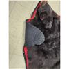Image 10 : Big Black Bear Rug Taxidermy