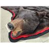 Image 4 : Big Black Bear Rug Taxidermy