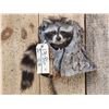 Image 2 : Raccoon In A Log Taxidermy Mount