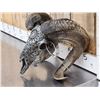 Image 6 : Spectacular Hand Carved Ram Sheep Skull Taxidermy