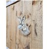 Image 4 : Jackalope Shoulder Mount Taxidermy