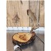 Image 3 : Live Edge Wood & Moose Antler Desk Lamp