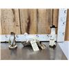Image 1 : 3 Cute Critters Taxidermy Lot