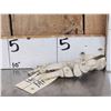 Image 2 : Authentic Articulated Human Foot Bones