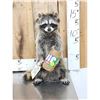 Image 1 : Raccoon Eating Peanut Butter Taxidermy Mount