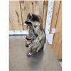 Image 3 : Raccoon Eating Peanut Butter Taxidermy Mount