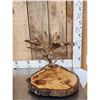 Image 1 : Live Edge Wood & Antler Sculpture